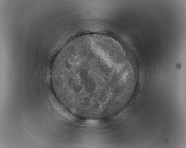 X0000113180457200909251446