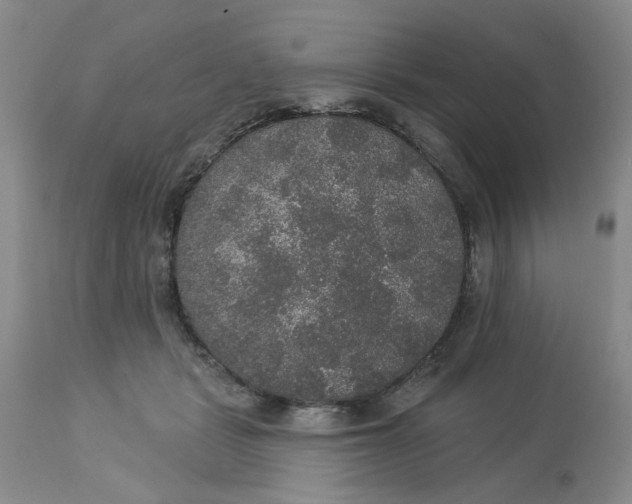 X0000113180461200909251446