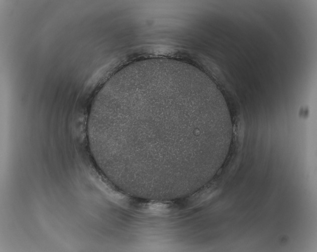 X0000113180462200909251446