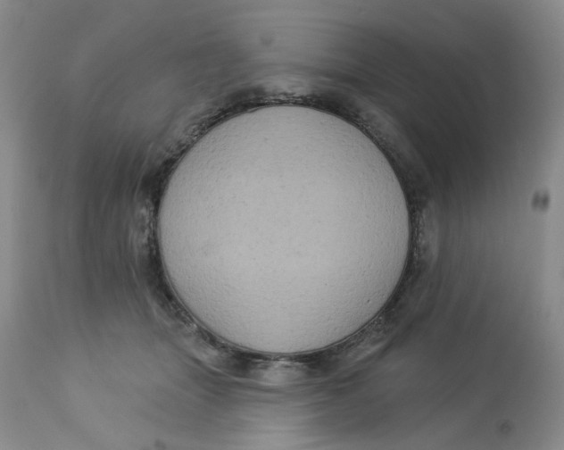 X0000113180463200909251446