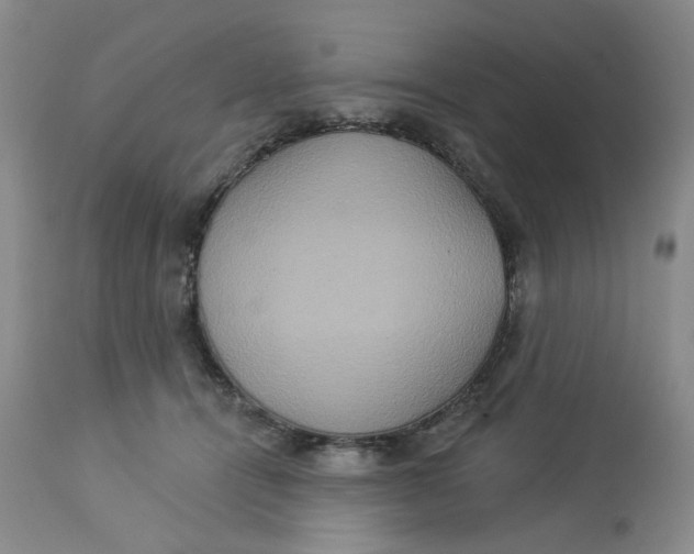 X0000113180464200909251446