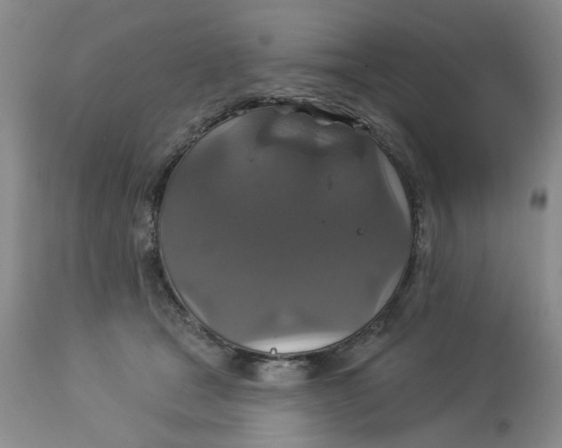 X0000113180465200909251446