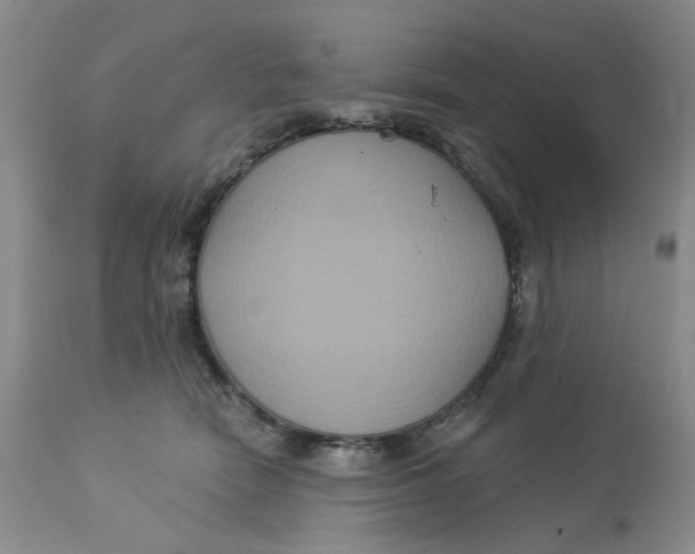 X0000113180466200909251446