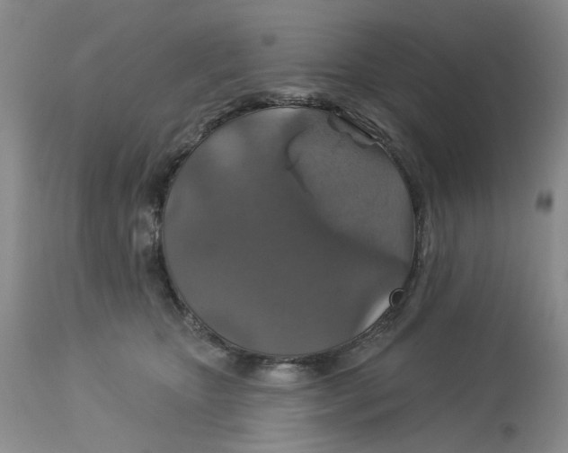 X0000113180467200909251446