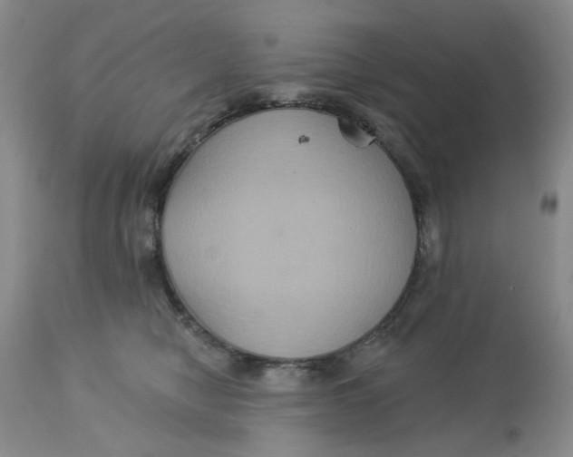 X0000113180470200909251446
