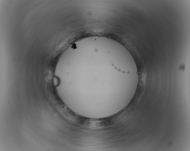 X0000113180472200909251446