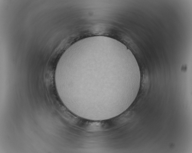 X0000113180473200909251446
