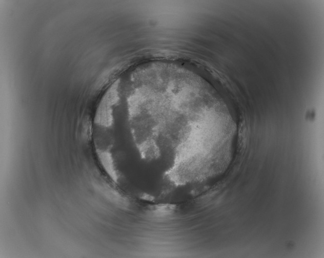 X0000113180474200909251446