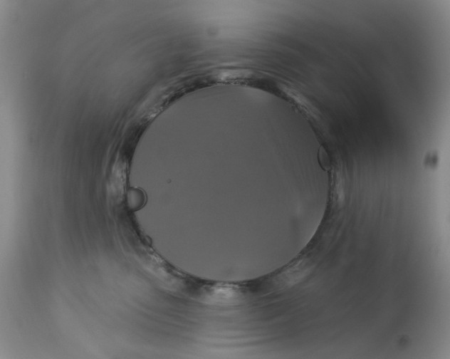 X0000113180475200909251446