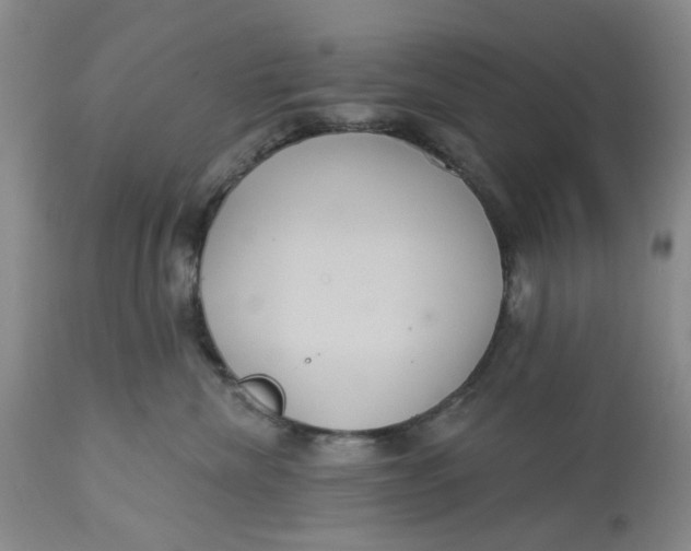 X0000113180476200909251447