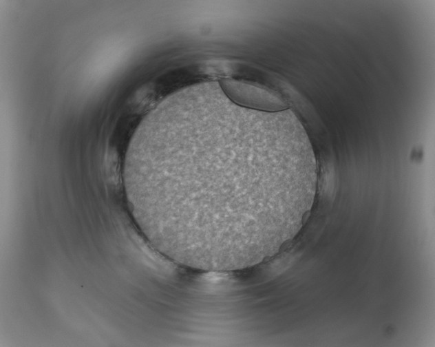 X0000113180477200909251447