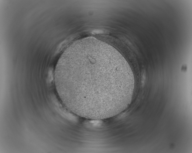 X0000113180478200909251447