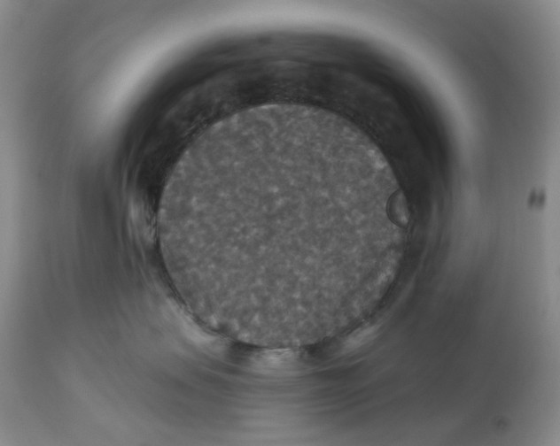 X0000113180479200909251447