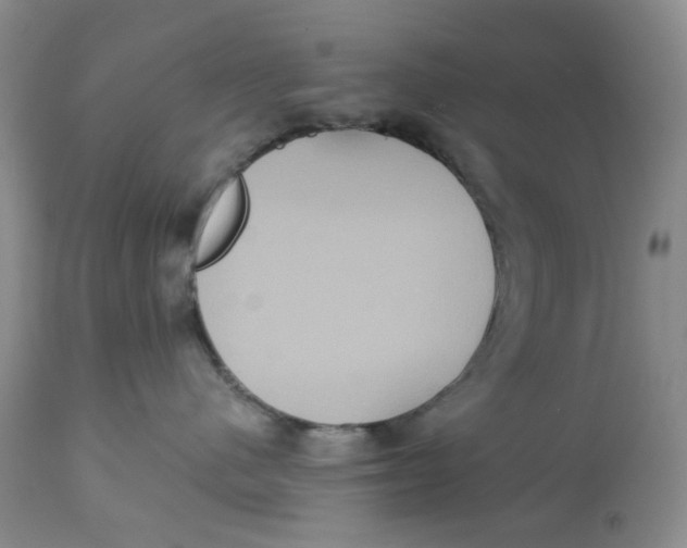 X0000113180480200909251447