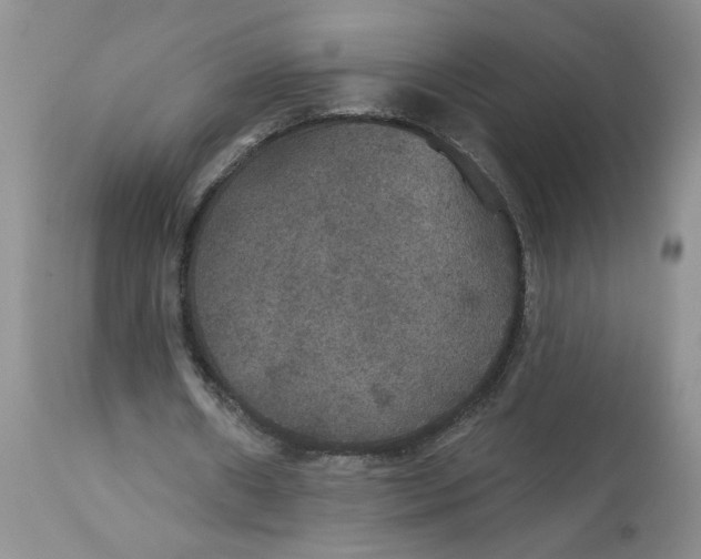X0000113180482200909251445