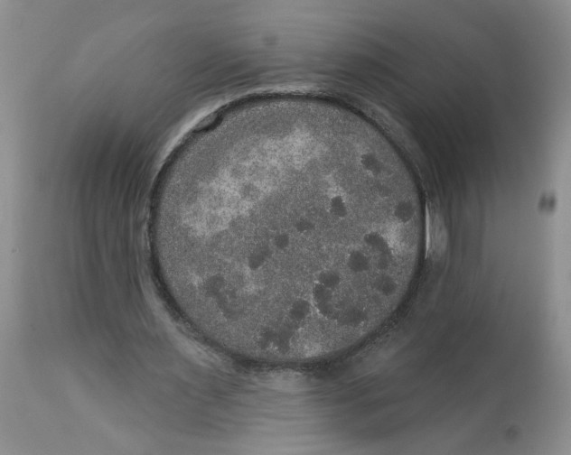 X0000113180483200909251445