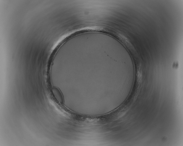 X0000113180484200909251445