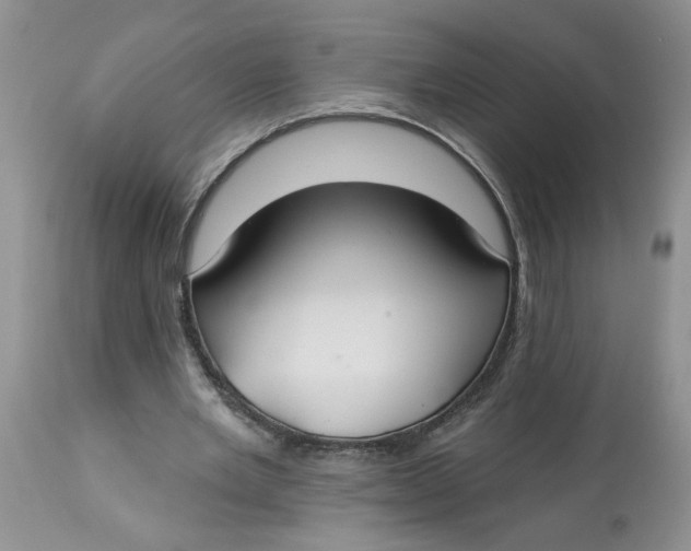 X0000113180485200909251445