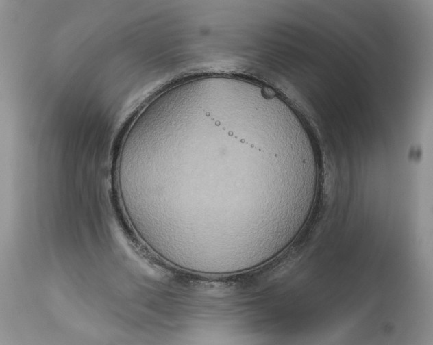 X0000113180486200909251445