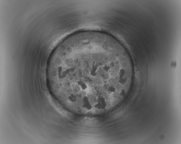 X0000113180487200909251445