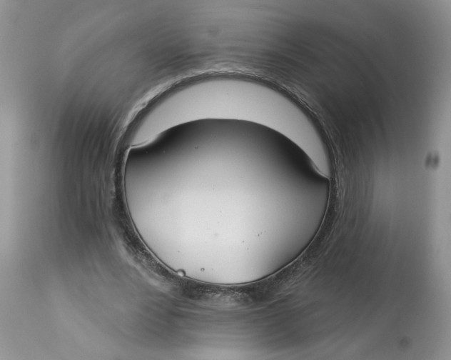 X0000113180488200909251445