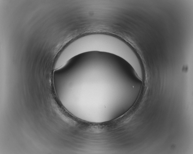 X0000113180489200909251445