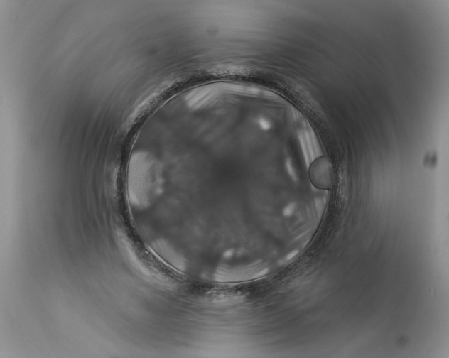 X0000113180491200909251445