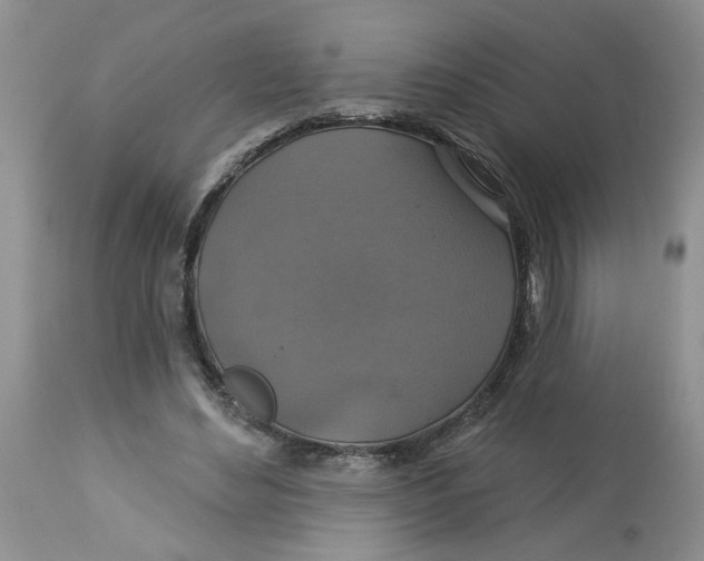 X0000113180492200909251445