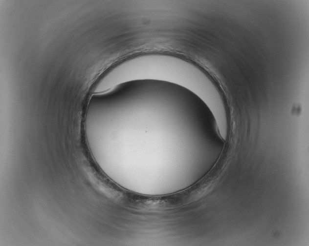 X0000113180493200909251445