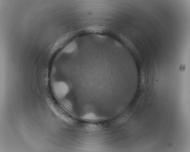 X0000113180494200909251445