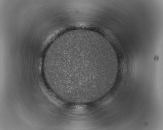X0000113180495200909251445