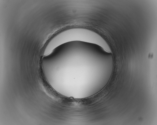 X0000113180496200909251445