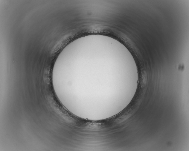 X0000113180497200909251445