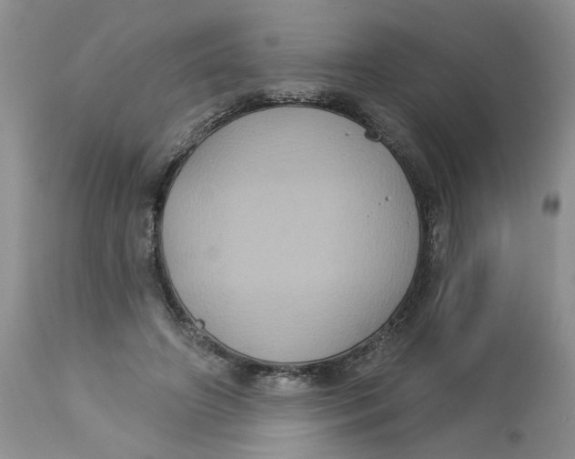 X0000113180498200909251445