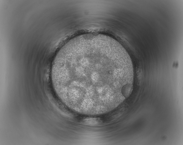 X0000113180499200909251445