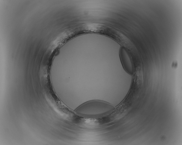 X0000113180500200909251445