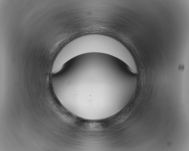 X0000113180501200909251445