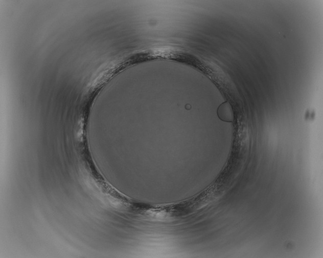 X0000113180502200909251445