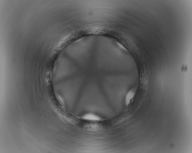 X0000113180503200909251445