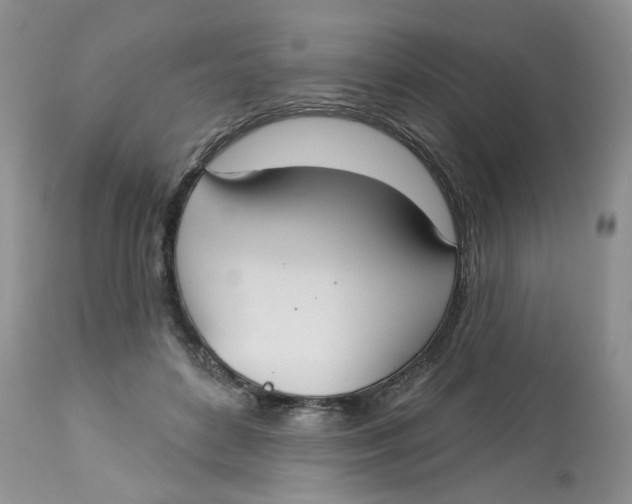 X0000113180504200909251445