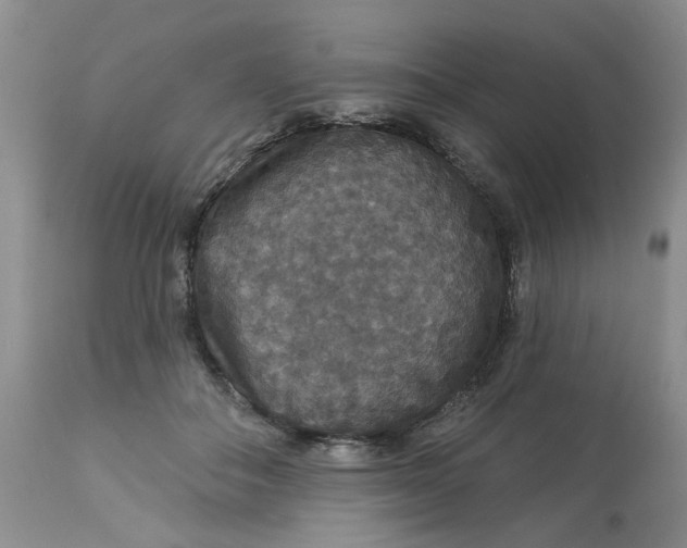 X0000113180506200909251445