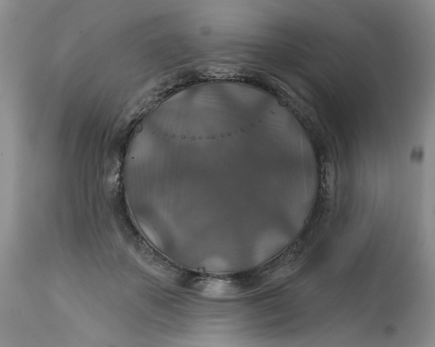 X0000113180507200909251445