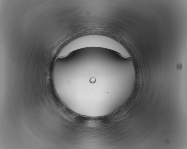X0000113180508200909251445