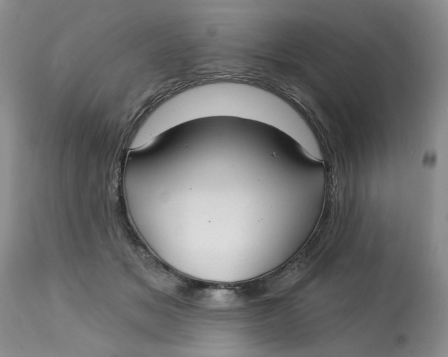 X0000113180509200909251445
