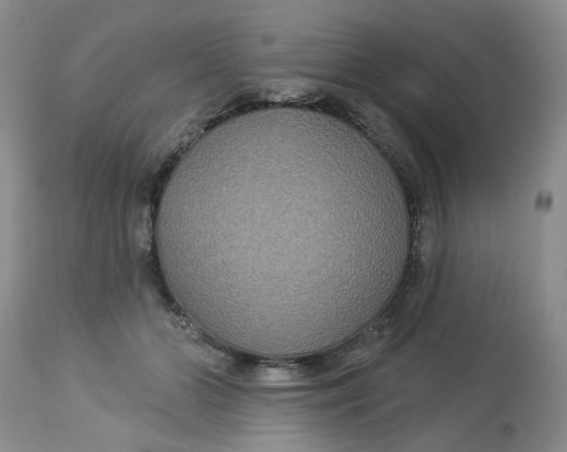 X0000113180510200909251445