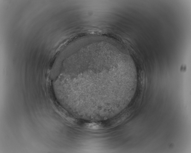 X0000113180511200909251445