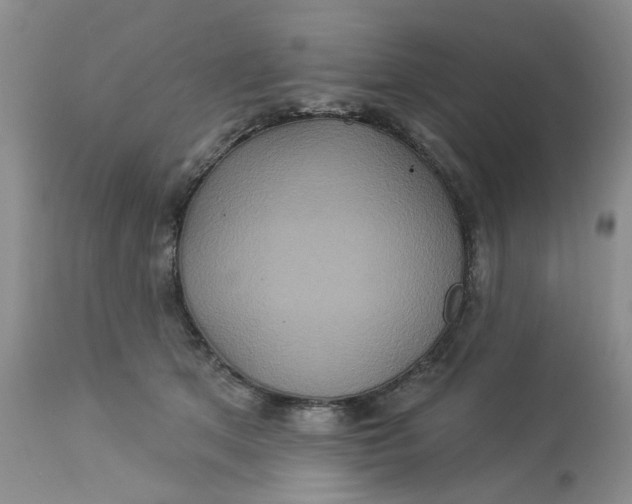 X0000113180513200909251445