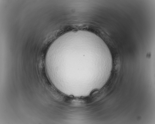 X0000113180515200909251445