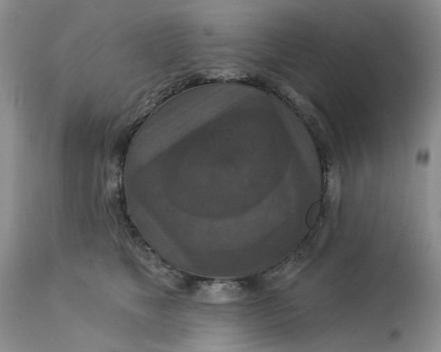 X0000113180517200909251445