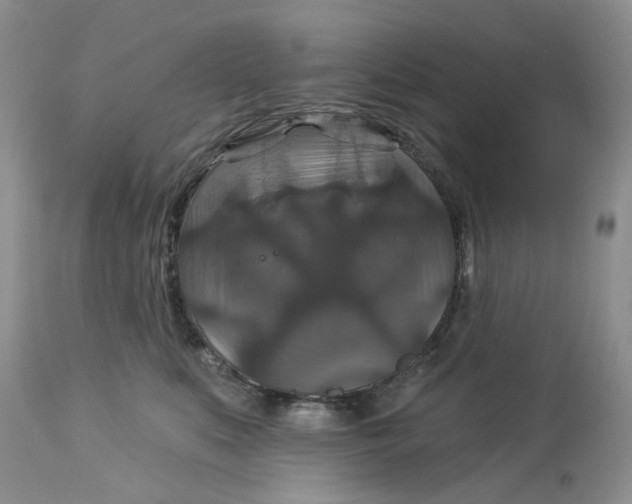 X0000113180519200909251445